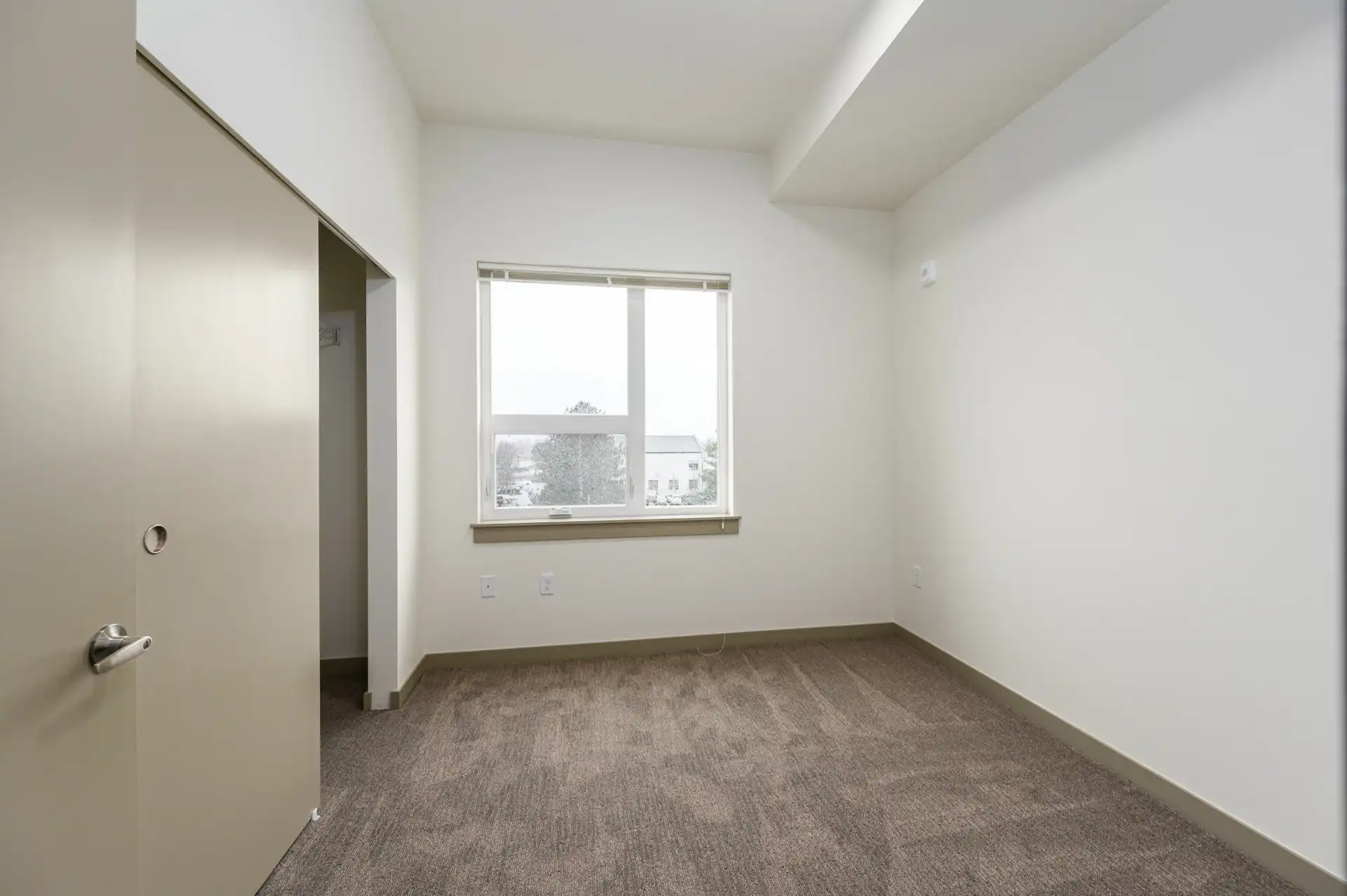 gray carpeted bedroom with white walls, tent green trim, a large window, and closet with sliding door.