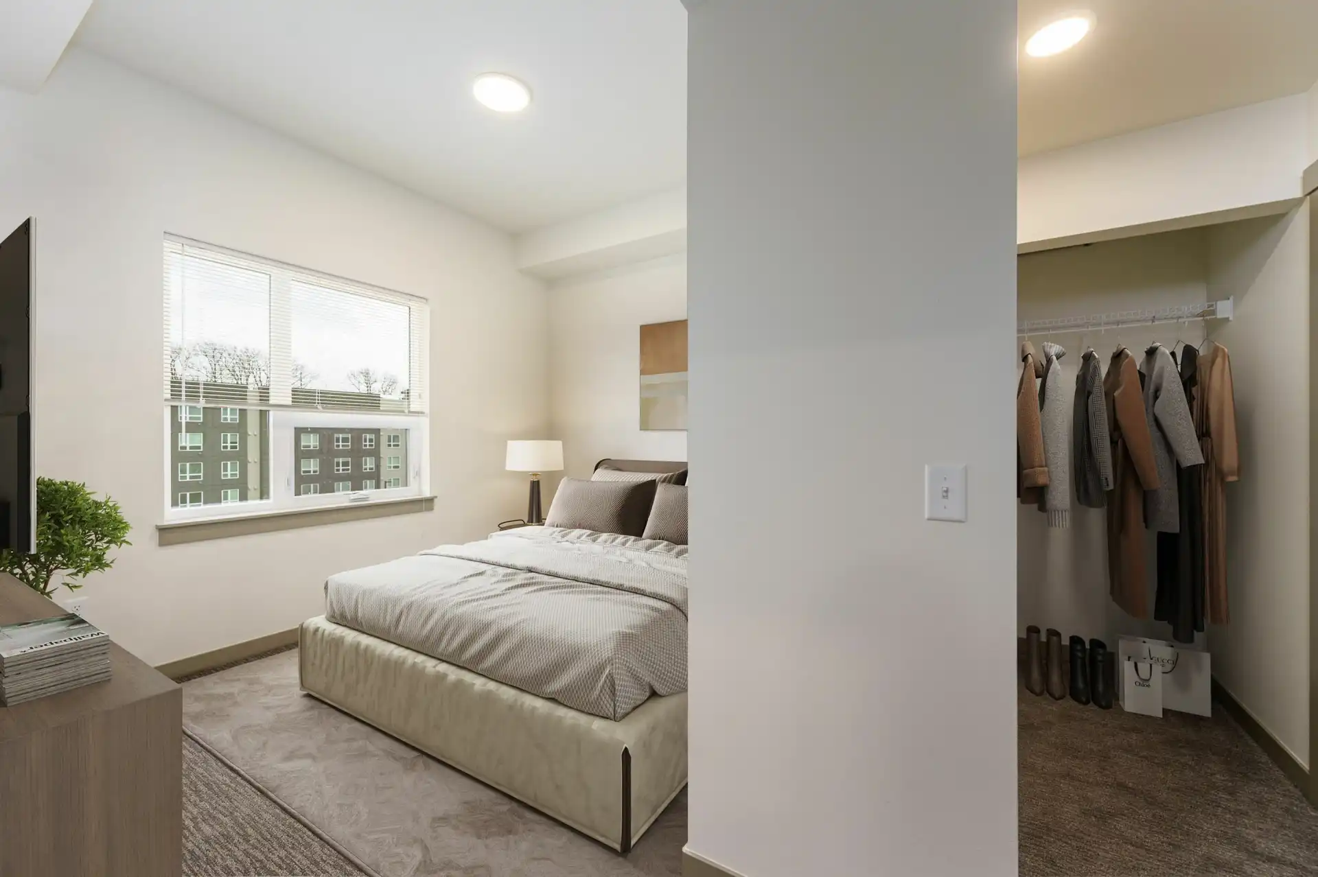 carpeted bedroom with large bed next to a wide window, and walk-in closet on the other side of the wall to the right